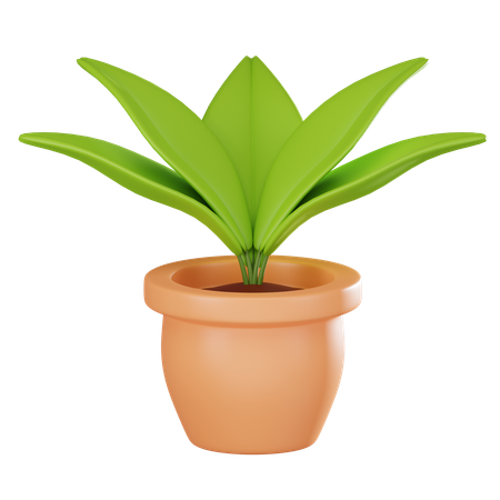 Plant Pot  3D Icon