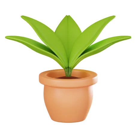 Plant Pot  3D Icon