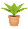 Plant Pot