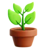 Plant Pot