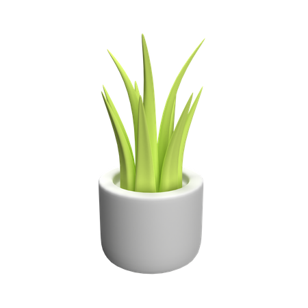 Plant Pot  3D Icon