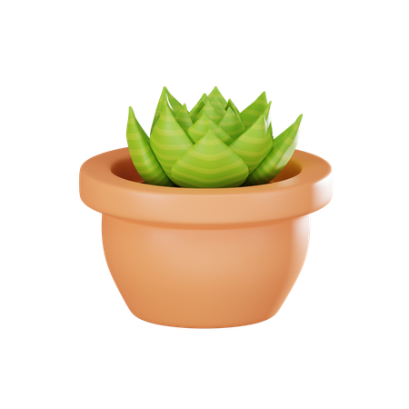 Plant Pot  3D Icon