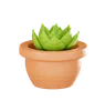 Plant Pot