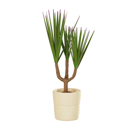 Plant Pot  3D Icon