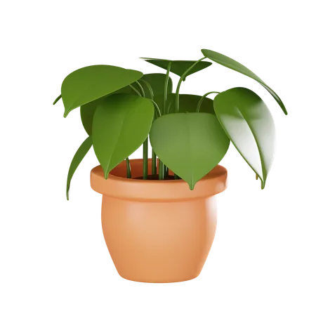 Plant Pot  3D Icon