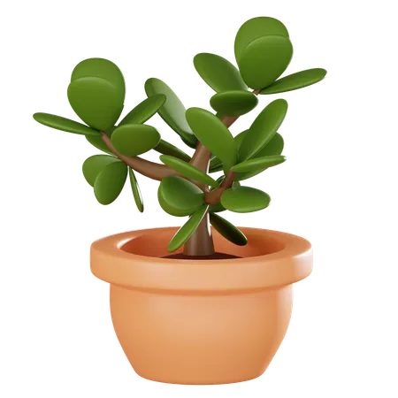 Plant Pot  3D Icon