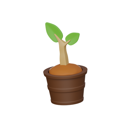 Plant Pot  3D Icon