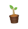 Plant Pot