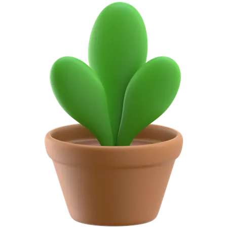 Plant Pot  3D Icon
