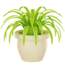 Plant Pot