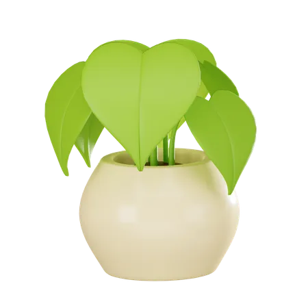 Plant Pot  3D Icon