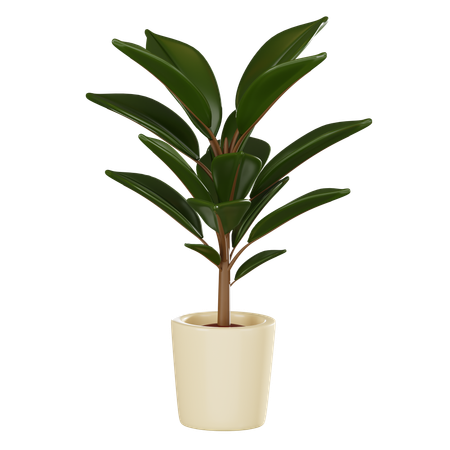 Plant Pot  3D Icon