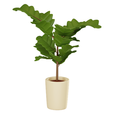 Plant Pot  3D Icon