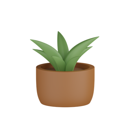 Plant Pot  3D Icon