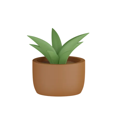 Plant Pot  3D Icon