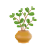 Plant Pot