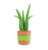 Plant Pot