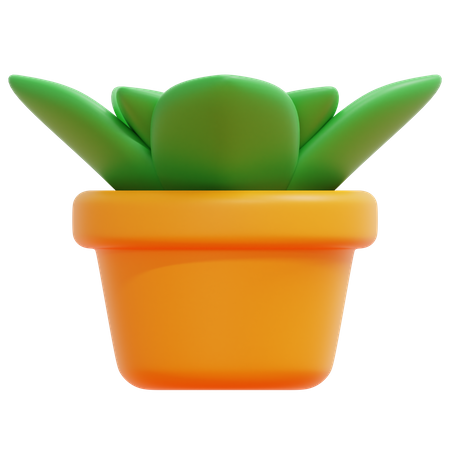 Plant Pot  3D Icon