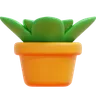 Plant Pot