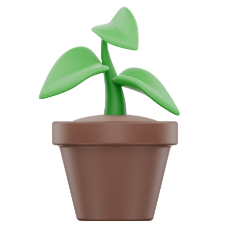 Plant Pot  3D Icon