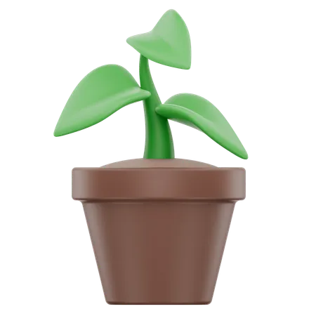 Plant Pot  3D Icon