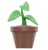 Plant Pot