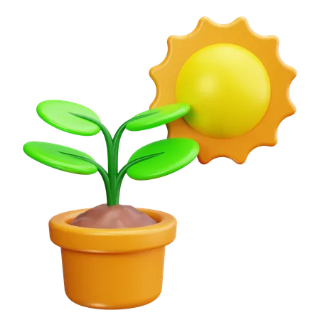 Plant pot  3D Icon