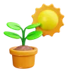 plant pot