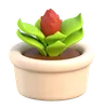 Plant Pot