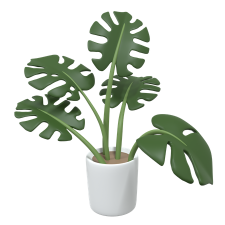 Plant Pot  3D Icon