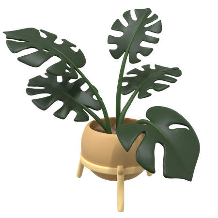 Plant Pot  3D Icon