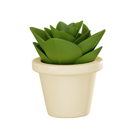 Plant Pot  3D Icon