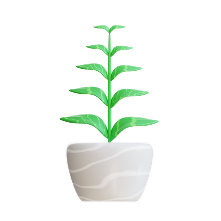 Plant Pot  3D Icon