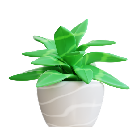 Plant Pot  3D Icon