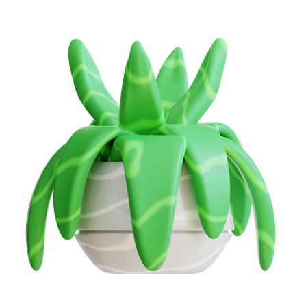 Plant Pot  3D Icon