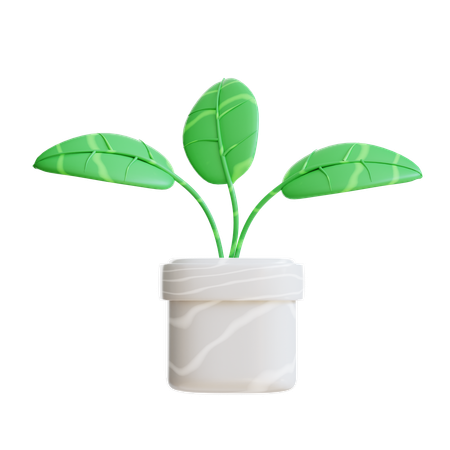 Plant Pot  3D Icon