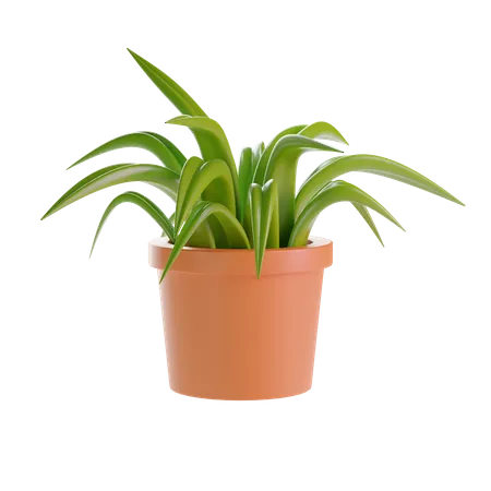 Plant Pot  3D Illustration