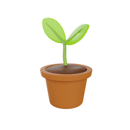 Plant Pot  3D Illustration