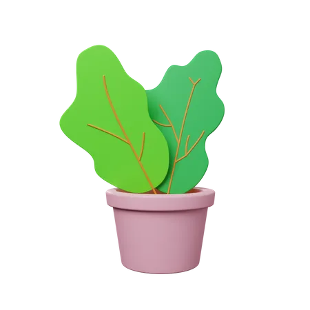 Plant Pot  3D Illustration