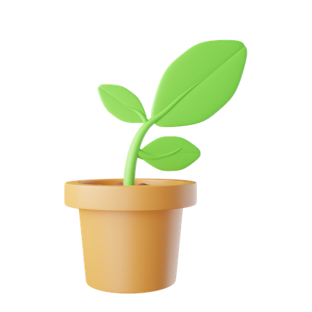 Plant Pot  3D Illustration