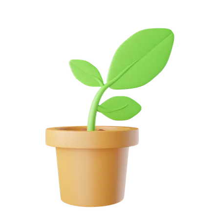 Plant Pot  3D Illustration