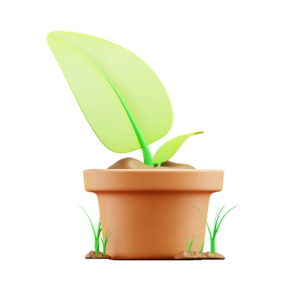 Plant pot  3D Illustration