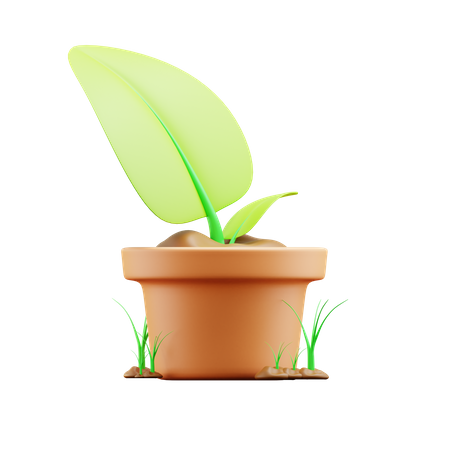 Plant pot 3D Illustration