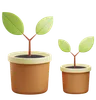 Plant pot