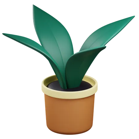 3 D Plant Pot Illustration With Transparent Background 3D Icon