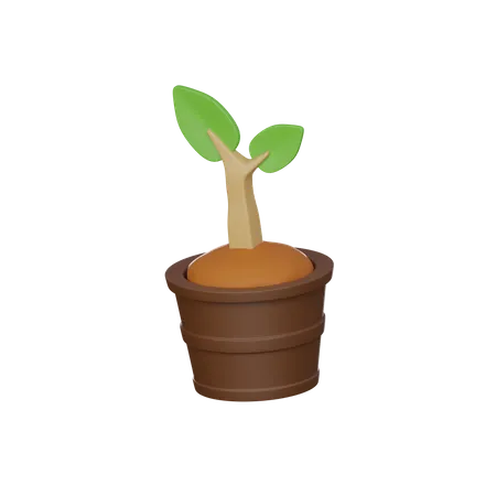 3 D Plant On Pot 3D Icon