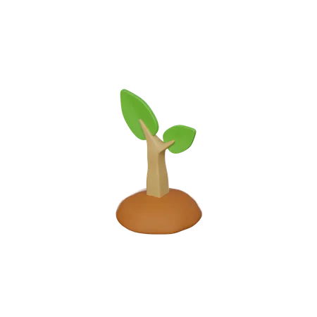 Plant Seeding  3D Icon