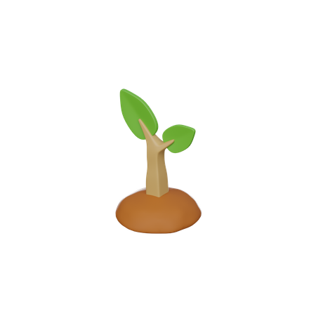 Plant Seeding  3D Icon