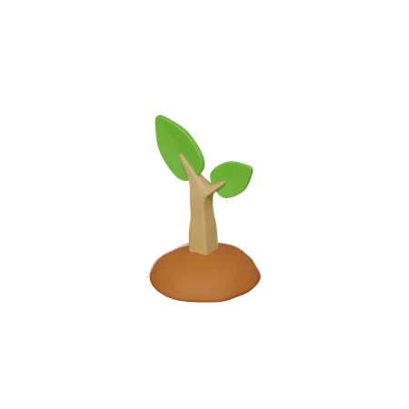 3 D Plant Seeding 3D Icon