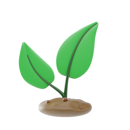 Plant Seedling  3D Icon
